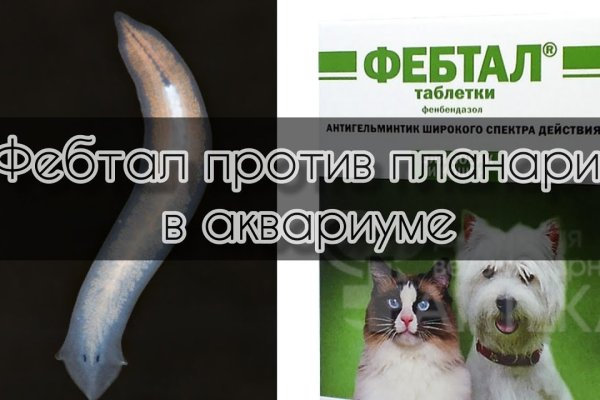 Маркет плейс кракен маркетплейс